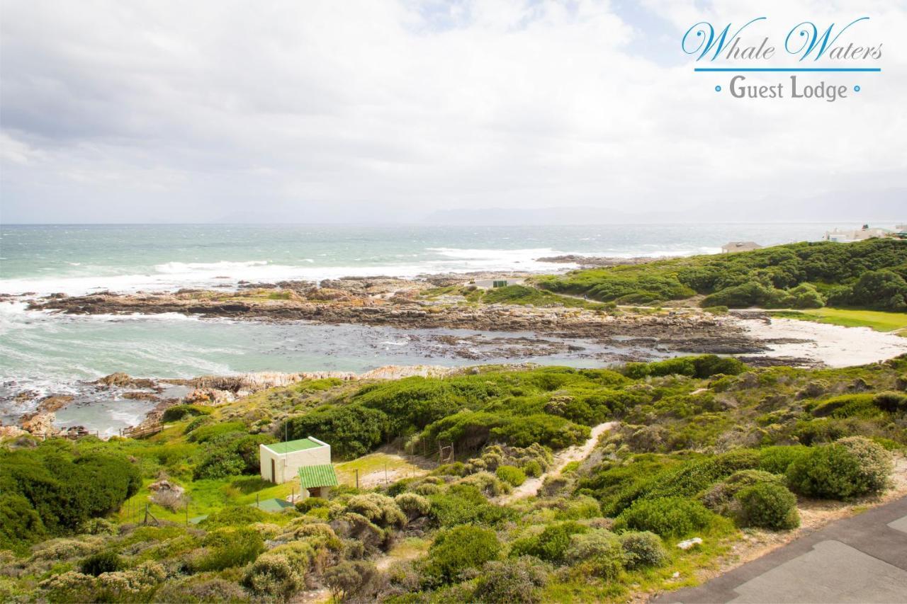 Ferienwohnung Whale Waters Self Catering Gansbaai De Kelders Exterior foto